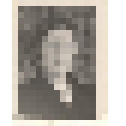 Фотография: Дидрих Мария Александровна, свинарка колхоза "Путь Ленина" Крутихинского района Алтайского края