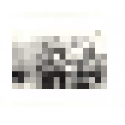 Фотография. Спортивный праздник на племзаводе "Большемурашкинский"