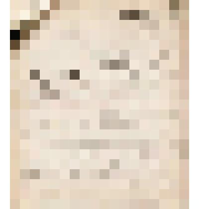 Телеграмма № 106 в г. Чердынь В.Н.Алину от Головина из г. Устьсысольска, 11.09.1906 г