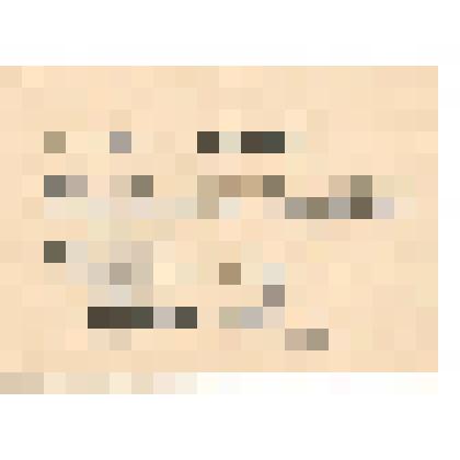 Документ. Справка об объявлении благодарности за отличные боевые действия при овладении городами Дьер и Комаром. Выдана гв. рядовому Калмыкову Михаилу Семёновичу