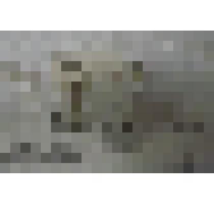 Бабочка "Пяденица биколората"