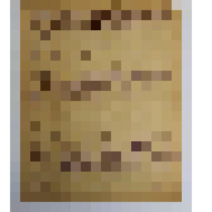 Письмо от Музалевского П. С. адресованное родителям