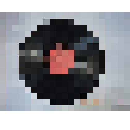 Грампластинка: С. Ротару «Нежная мелодия»