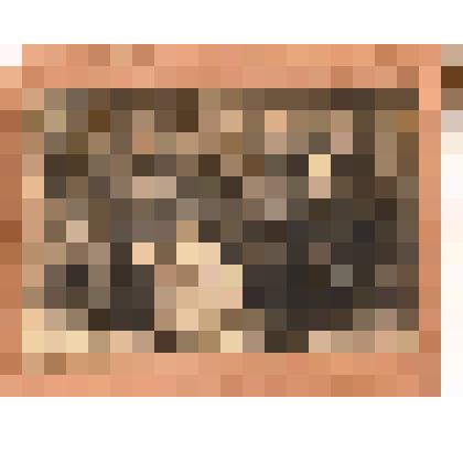 Фотография Групповая. Ударная бригада грузчиц Панченковой Мар