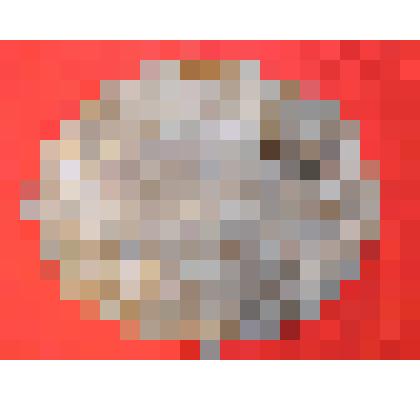 Вывеска с надписью "Российское страховое общество"