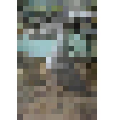 Кулик песчаный