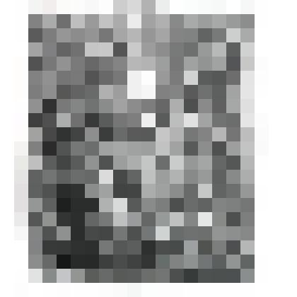 литография. Старый вахтёр