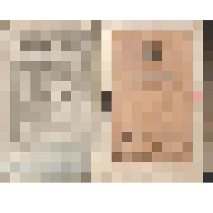 Паспорт и.д. суд. пристава сего   суда по Михайлов. уезду губернского секретаря - Зеленкина Ивана Варфоломеевича  выдан 17 августа 1913 г