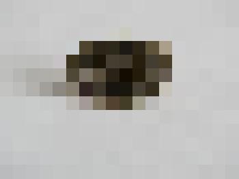 Значок "Хабаровск. Политехнический институт"