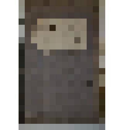 Ведомость  исповедная  Сольвычегодской  Владимирской  церкви