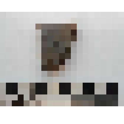 Археология. Фрагмент стенки сосуда, орнаментированный рядом овальных вдавлений. Верхний край венчика прямой слегка скошен наружу