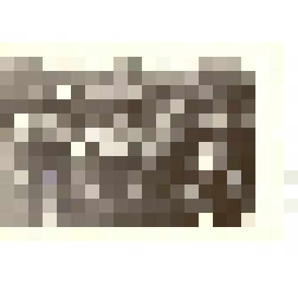 Фотография. Встреча трех поколений у памятника, посвященного 10-летию Советской власти