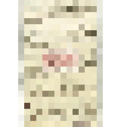 Письмо И. С. Боголюбского Н. М. Мартьянову с предложением создать при музее Саянское общество любителей естествознания и древностей, просьбой сообщить, сколько продано его сочинений, не нужно ли прислать ещё