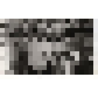 Фотография. Гребенщикова Анна Васильевна с одноклассницей на встрече выпускников Тотемской средней школы №1