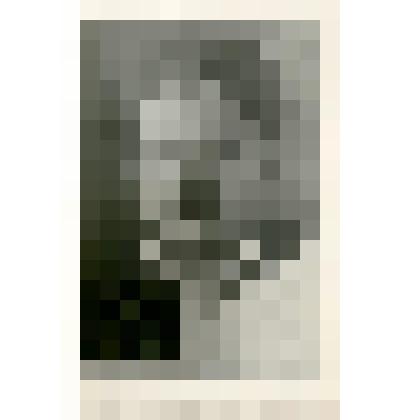 Фотокопия. Дуткин