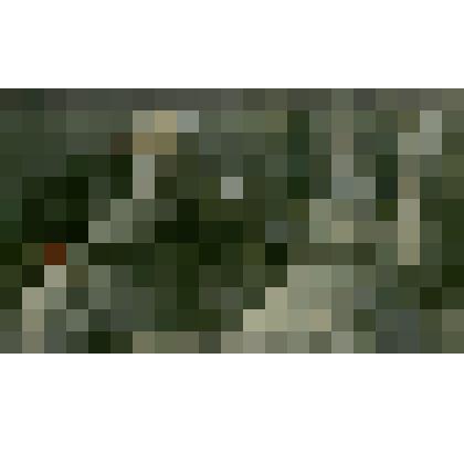 «Князь Василий и Анна Павловна Шерер»