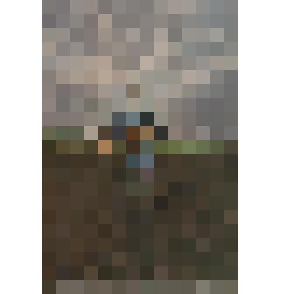 Открытка. Репродукция с картины Г.Г.Мясоедова «На земле старик»