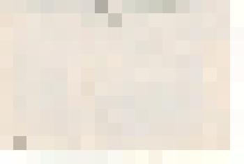 Фотография. Валка леса в делянке членами бригады Дюковой Е.Г