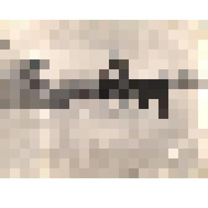 Группа участников похода «Ледовый путь» в сопровождении Падерина Павла Ефимовича