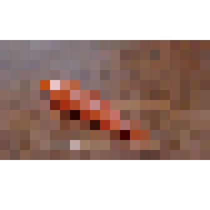 Елочная игрушка. Морковь. Пластмасса. Московский завод елочных украшений