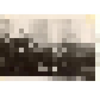 Фотография: токарный станок типа 1Д62А совхоза "Октябрь" Каменского района