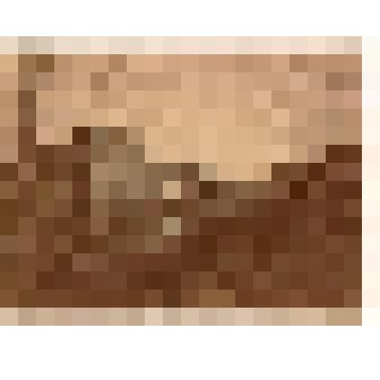 Ф/чб. Улица в Покровской слободе. Нач. ХХ в