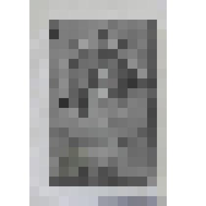 Портрет прусского короля Фридриха Вильгельма