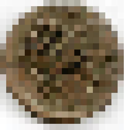 Монета. Российская империя