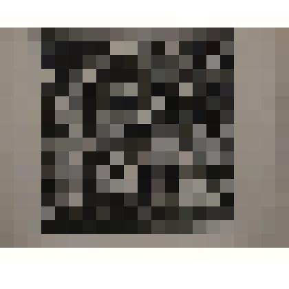 Гравюра. Сельский участковый