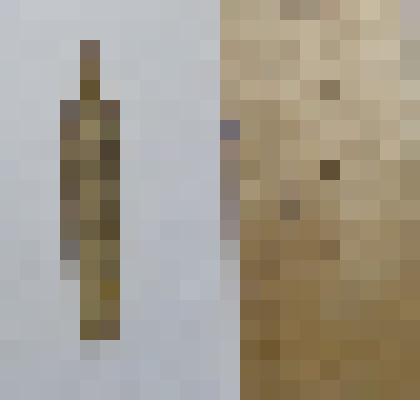 Ростр белемнита