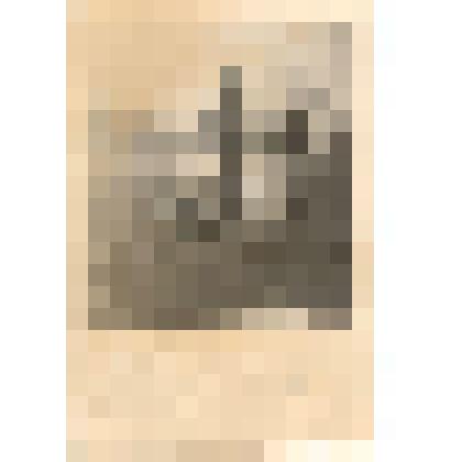 Фотография Жондарева П.П