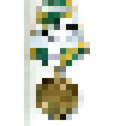 Медаль "За освоение целинных земель"