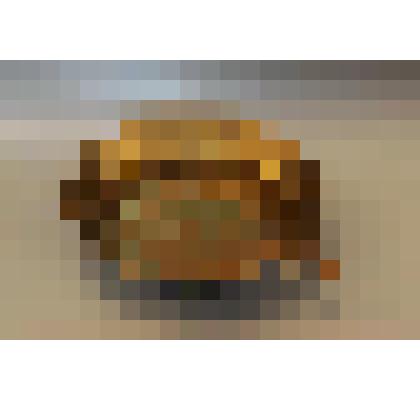 Таз для варки варенья