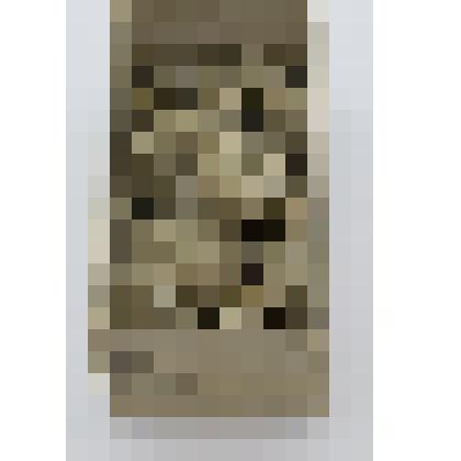 Образец. Почва. Разрез № 8. Торфянисто-перегнойно- подзолистая почва. Глубина 95-110 см