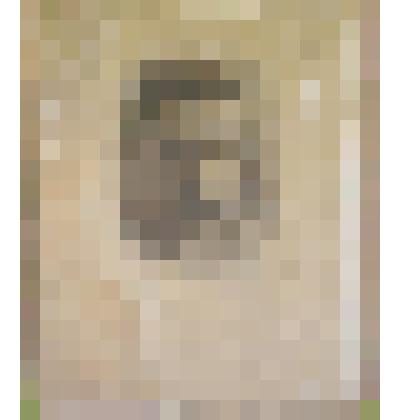 Фотография. Михаил Васильевич Фрунзе