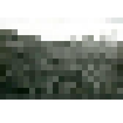 Фотография. Луг возле леса