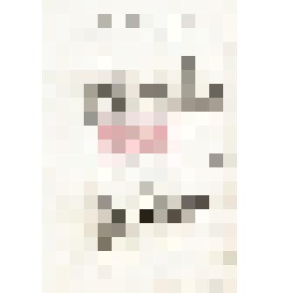 Письмо    А.    Кондратовича    Николаю Михайловичу            Мартьянову  с уведомлением   об   отправке   двух   пар рогов косули