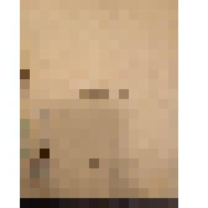 Собрание картин В.А. Щавинского