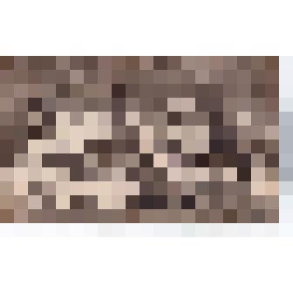 Ф/чб/к. Коллектив спортивной команды на празднике физкультуры АССР НП (у здания Дома физкультуры). В 3 рядя в центр 4,5 - Раушенбах Лидия и Владимир, 7  - Богословский А.Г. Покровск. 1924