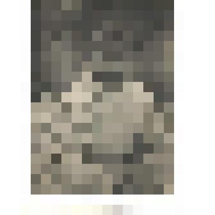 Фотографии. Фотография погрудная Терехов И.Д. в белом полушубке, шапке-ушанки со звездой, на обратной стороне надпись: "На память дорогой моей семье в дни Отечественной войны" 5.11.1944 г