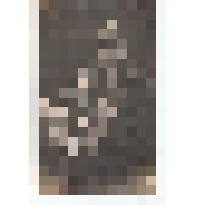 Ф/чб. Банников Александр Гордеевич с женой Александрой Васильевной (в дев. Данченко ). Покровск. 27.4.1926