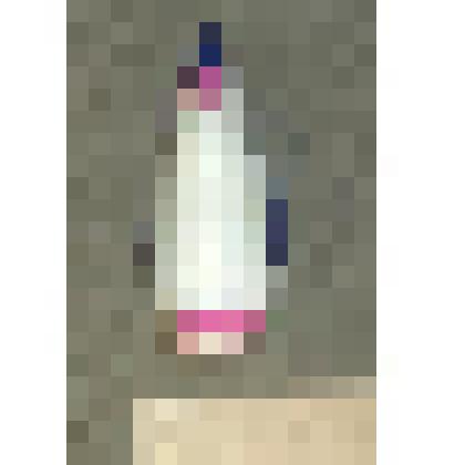 Игрушка елочная "Пингвин"