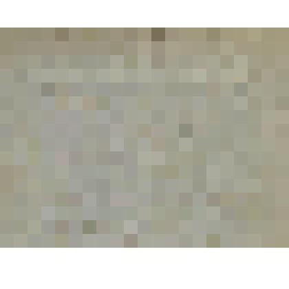 Фотография на паспарту. Студенты I курса группы «А» горного техникума Золото-платинового прииска Ис, Исовского района Уралобласти