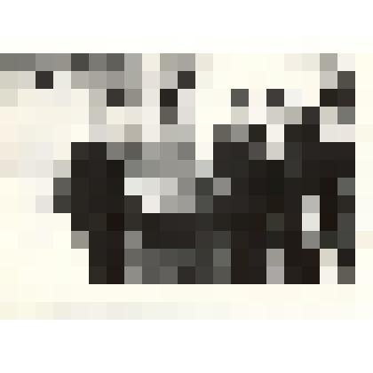 Фотография: встреча студентов педагогического училища г.Камень-на-Оби с комсомольцем 1920-х гг. Исыповым Иваном Яковлевичем в здании музея