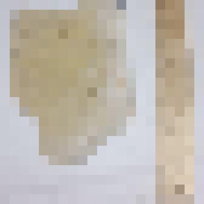 Отпечатки двустворчатых моллюсков