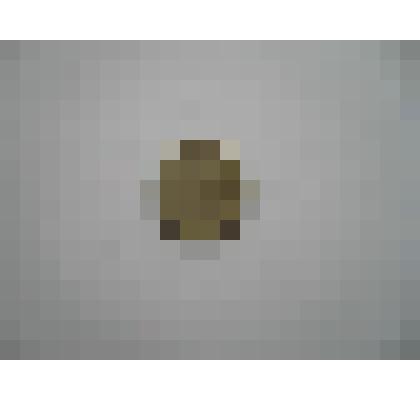 Монета. 1 РУБЛЬ