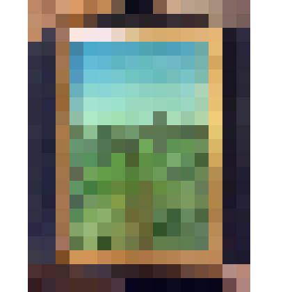 Картина. "Зеленая лужайка"