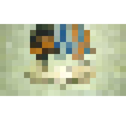 Колодка копий медалей: медаль «За победу над Германией в Великой Отечественной войне 1941—1945 гг.» ", медаль "За взятие Будапешта", "За взятие Вены"