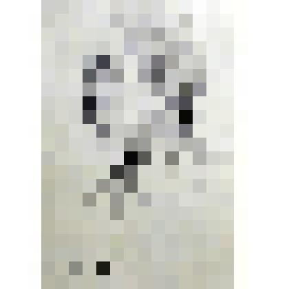 Графика. Портрет