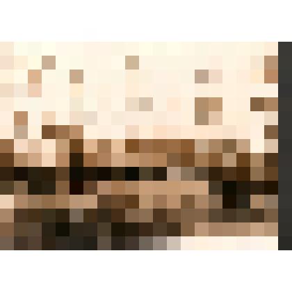 Фотография.  Групповой снимок.  Построение для вручения медалей «За оборону Ленинграда». Офицерам штаба 79 УР во дворе штаба. Лето 1943 года